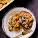 delicata squash casserole on a plate next to the casserole dish
